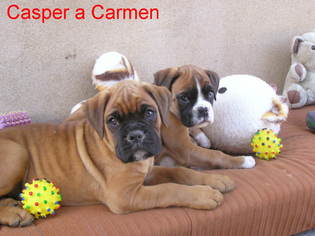 Casper a Carmen.jpg