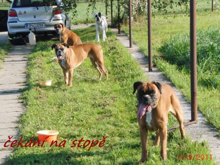 20110911-stopa-01.jpg